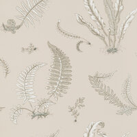 GP &amp; J Baker Ferns Behang Signature Wallpapers BW45044/8