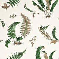 GP &amp; J Baker Ferns Behang Signature Wallpapers BW45044/1