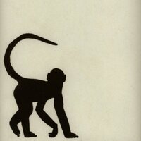 Cheeky Monkey Ebony Andrew Martin