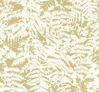 Fern