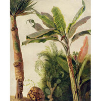 Les Dominotiers Banana Tree Behang