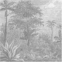 Les Dominotiers Palmar Behang