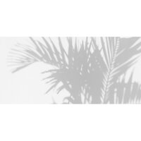 Les Dominotiers Palm Shadow Behang