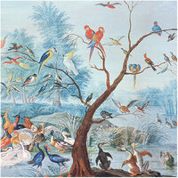 Les Dominotiers Tropical Birds Behang