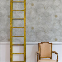 Les Dominotiers Stars and Monkeys Behang