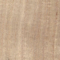 Greenland Paulownia Behang