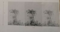 behang arte tropic zilver