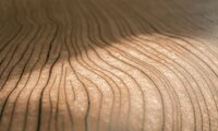 ARTE Timber Behang 