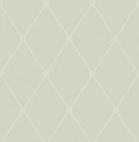 behang cole and son archive anthology large georgian rope trellis duck egg