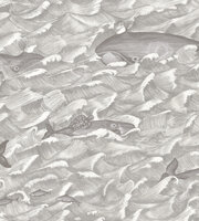 behang Cole And Son melville Whimsical-Melville-103-1004
