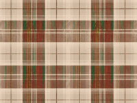Mind the Gap Countryside Plaid - Leather 
