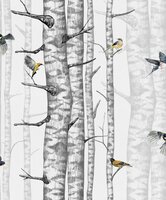 Coordonne Birch Trees Behang 9500040
