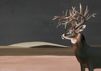 Coordonne Great Deer Behang 9500200