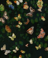 Coordonne Magic Butterflies Behang 9500050