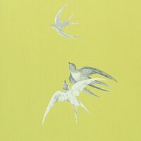 sanderson swallow behang DVIWSW101 