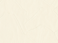 ARTE Shards behang 42506