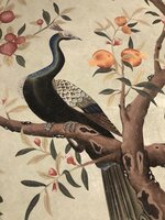 Papiers de paris Edo chinosierie green water