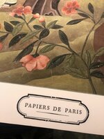 Papiers de paris Edo chinosierie green water