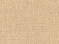 ARTE Nongo behang 49511