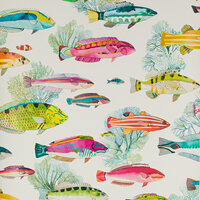 Manuel Canovas Fidji Behang 03108-02