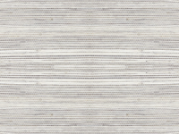 ARTE Line behang 80711A