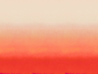 ARTE Zenitude Panoramique behang JOY85