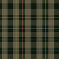 Mind the Gap Equestrian Plaid Behang WP30109