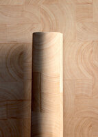 ELITIS Empreintes Behang RM_1040_01