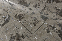 ARTE Eclat Behang 48042