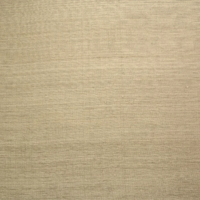 DWC Silk Behang Silk 00