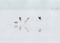 Coordonne Do&ntilde;ana Sky Behang - Linnen A00318L