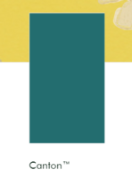 Little greene verf
