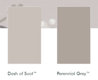 Little greene verf
