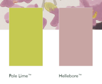 Little greene verf