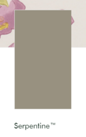 Little greene verf