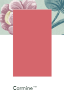 Little Greene verf