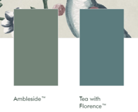 Little Greene verf