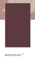 Little Greene Verf