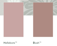 Little Greene Verf