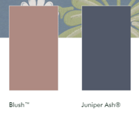 Little Greene Verf