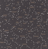 Ralph Lauren Starry Sky Behang Black PRL5041/02
