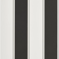 Ralph Lauren Mapleton Stripe Behang - CARBON PRL703/05