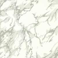 Zoffany French Marble Behang 313026