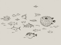 Coordonne Sea Current Behang 9500601