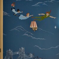Sanderson Peter Pan Behang Disney Home 217293