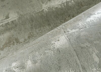 ARTE Platinum Behang 