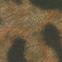 ELITIS Leopard Behang VP_969_01