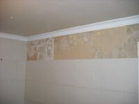 onderbehang zoffany behangpapier 3