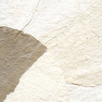 Behang ELITIS Nara RM-663-02 Epure Collectie Luxury By Nature