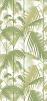 Cole and Son Palm Jungle 95/1001 Contemporary Restyled